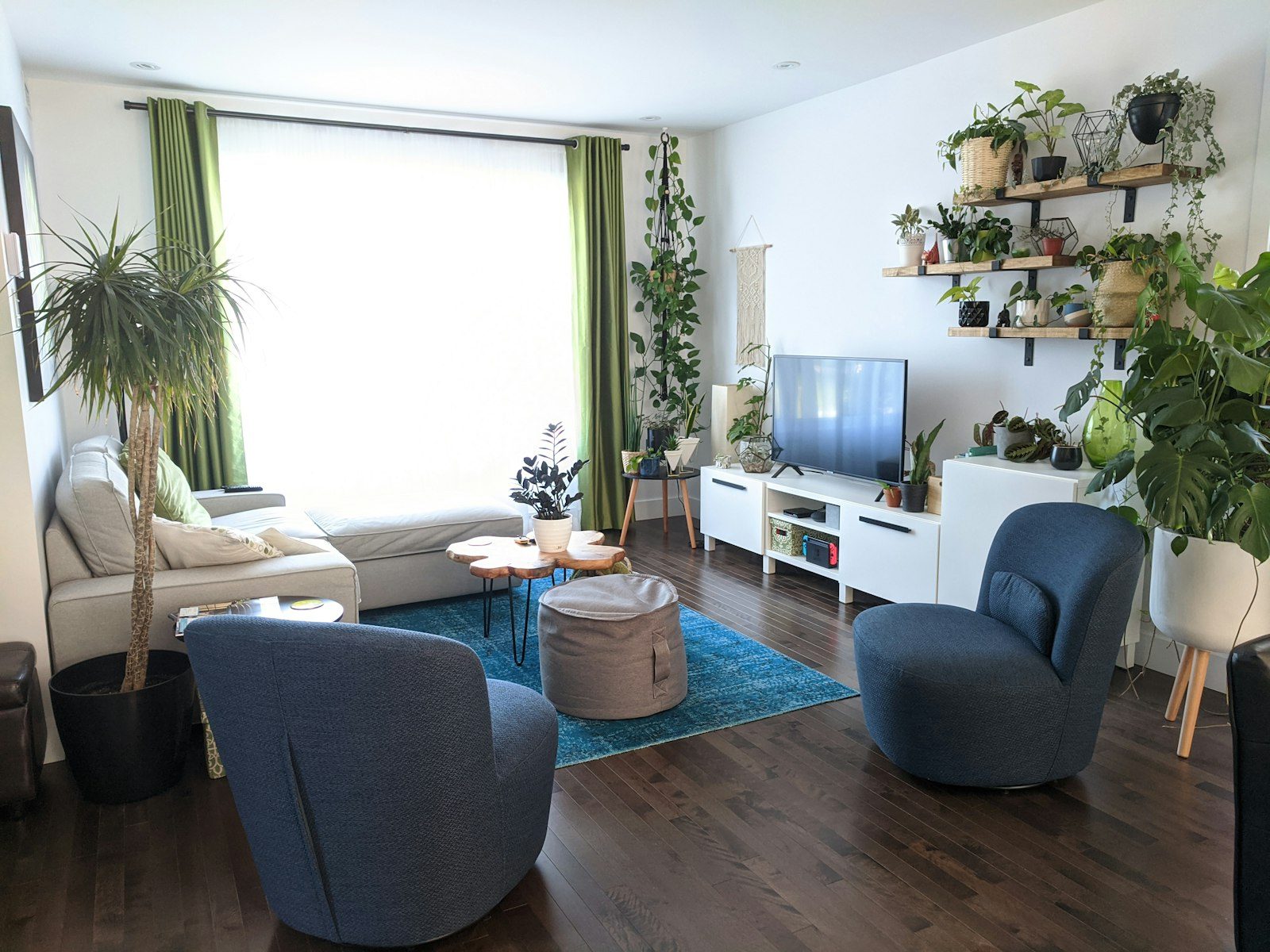Plantes d&rsquo;appartement : quelle plante pour chaque lumière et chaque rythme